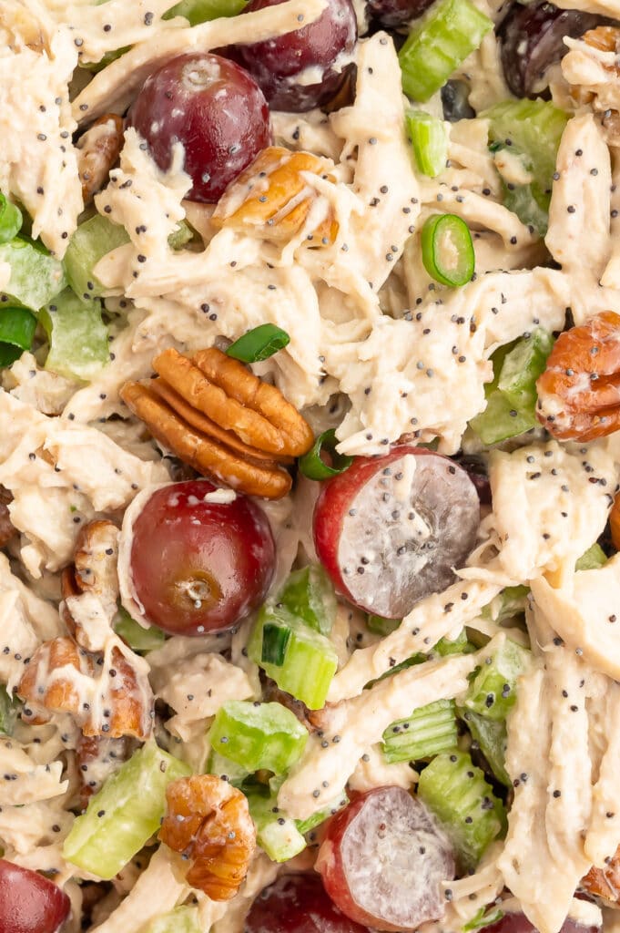 close up picture of california chicken salad with pecans and grapes