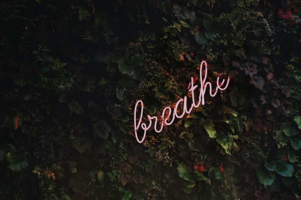 a photo of trees and the word "breathe" lit up on it