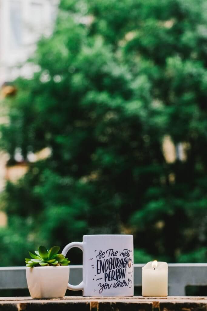 Trees and a mug with plants and a candle
